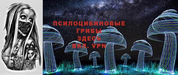твердый Белокуриха