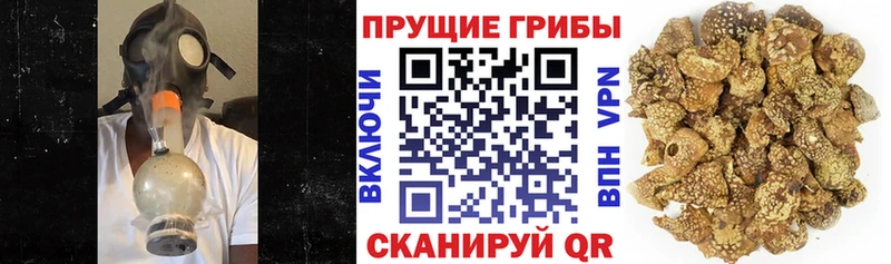 Галлюциногенные грибы Psilocybe  Ворсма 
